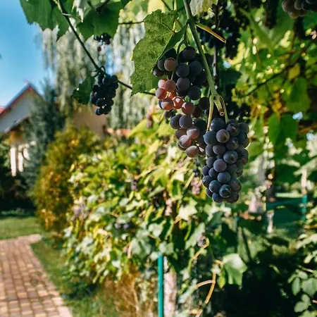 Dom Morski Сasa de vacaciones Lubiatowo (Pomerania)