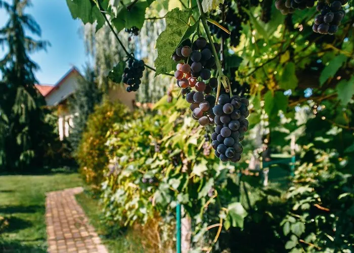 Dom Morski Dom wakacyjny Lubiatowo (Pomerania)