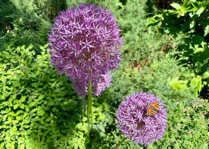 Dom Morski Dom wakacyjny Lubiatowo (Pomerania)