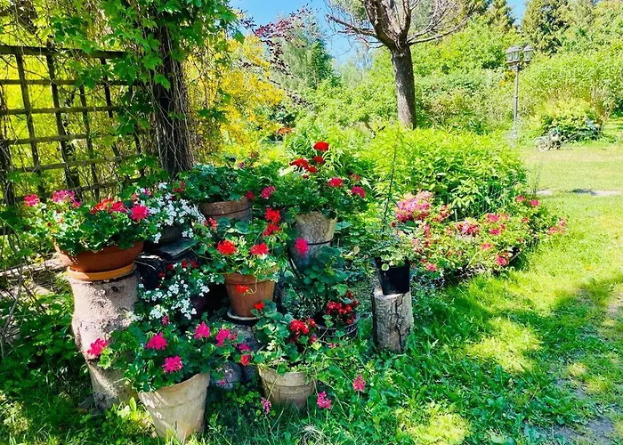 Dom Morski Dom wakacyjny *