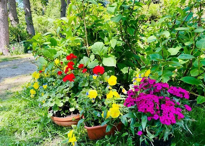 Dom Morski Dom wakacyjny Lubiatowo (Pomerania)