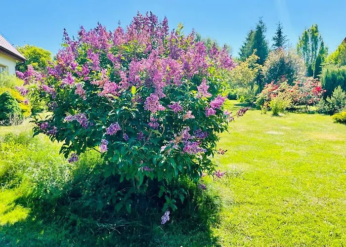 Dom wakacyjny Dom Morski