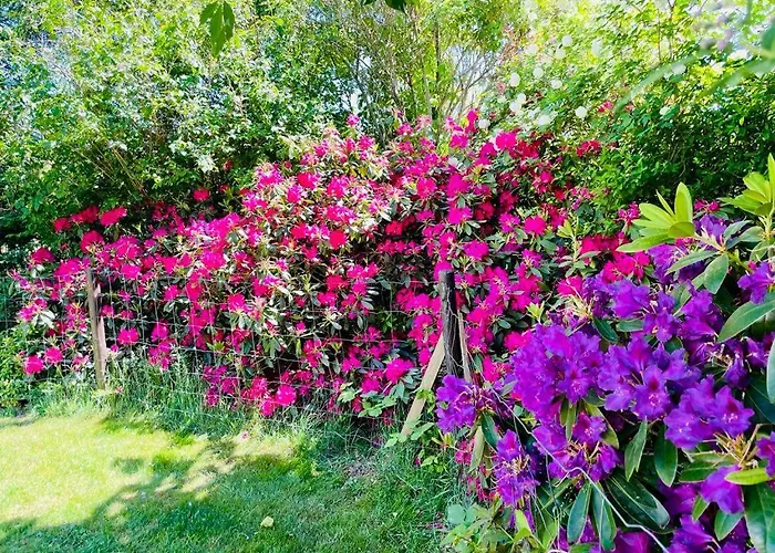 Dom wakacyjny Dom Morski Lubiatowo (Pomerania)